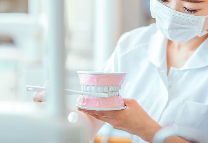 お口の健康を守る治療と予防